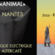 Jazz Fusion / Rock Progressif - 4dB - concerts de décembre 2018