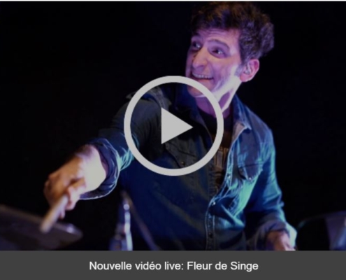 Jazz fusion - Rock progressif - 4dB - Live au Cirque Electrique - Fleur de Singe